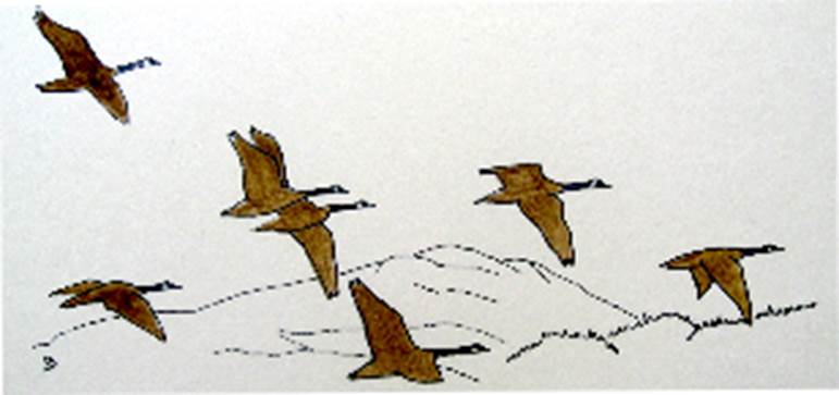 flying geese over Ben Ledi